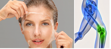COLÁGENO, EL SECRETO DE TU BELLEZA Y TU BIENESTAR