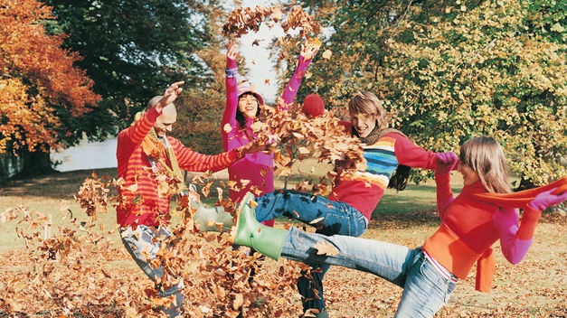 Energía para el otoño.